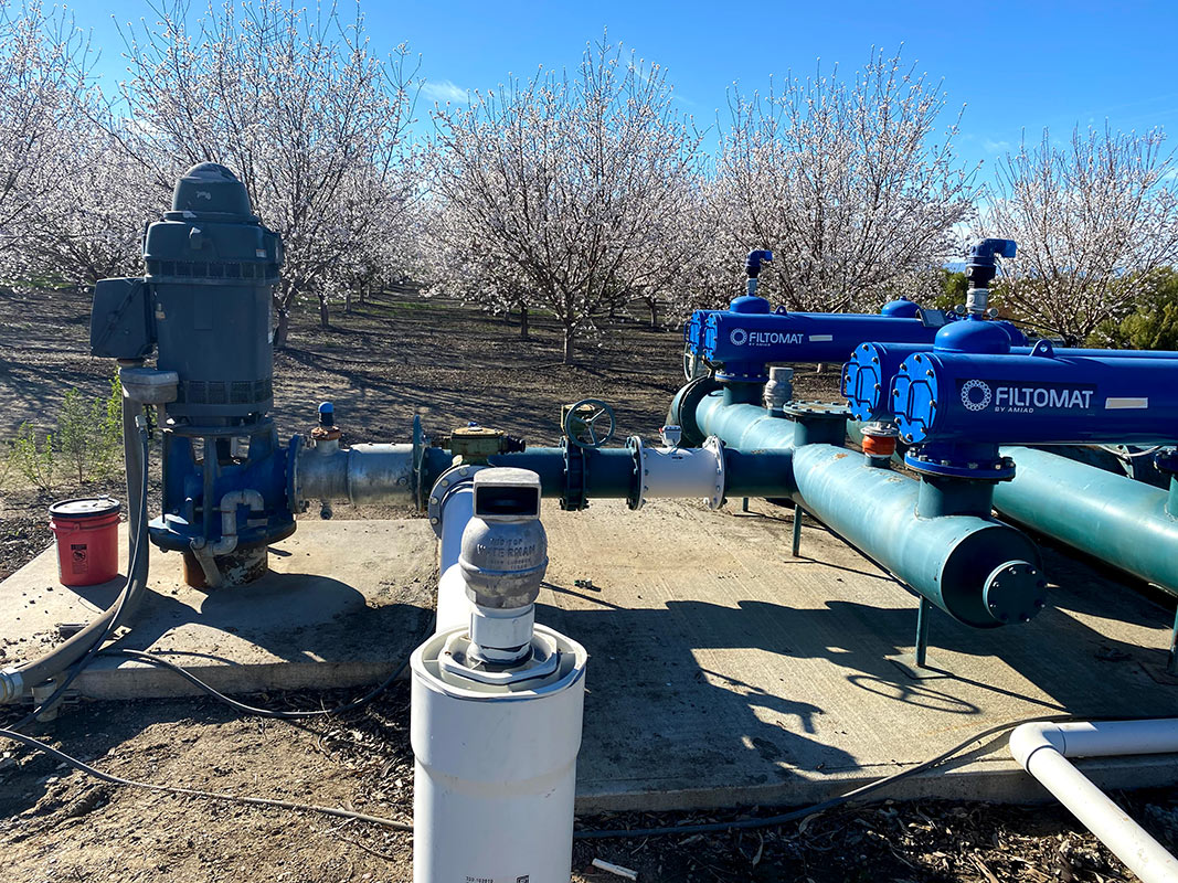Head Control at an Almond Ranch