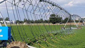 Precision Irrigation of Alfalfa